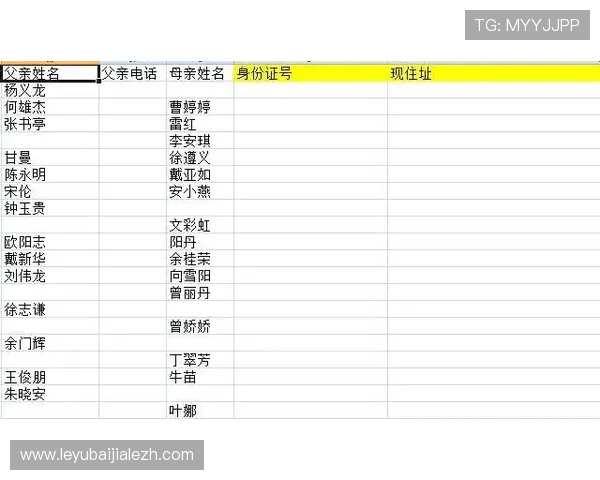 世界杯Excel赛程表完整版免费获取，包含比赛时间、场馆信息及实时更新功能，提升观赛体验